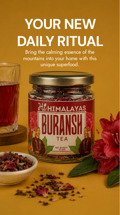 Himalayas Buransh Tea | Premium Rhododendron Herbal Tea | 20g